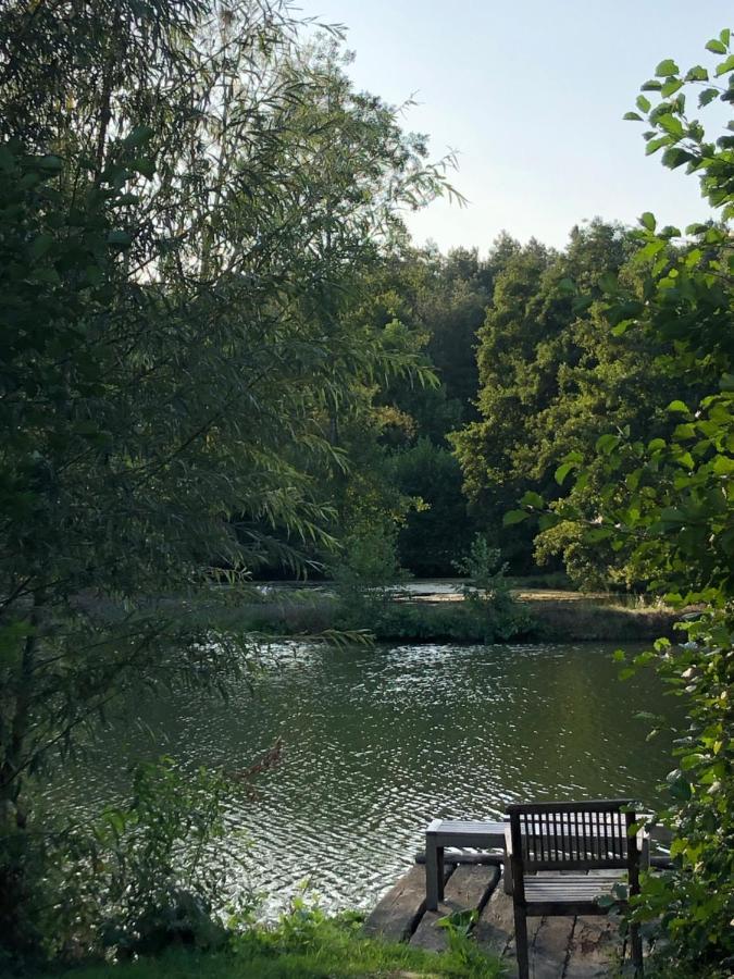 La Francoisiere Bed and Breakfast Loigné-sur-Mayenne Buitenkant foto