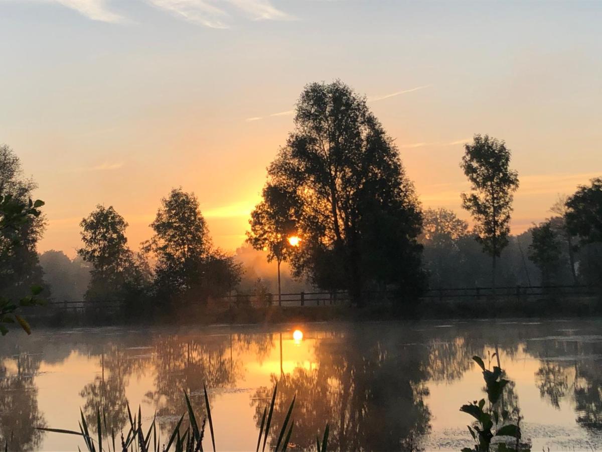La Francoisiere Bed and Breakfast Loigné-sur-Mayenne Buitenkant foto