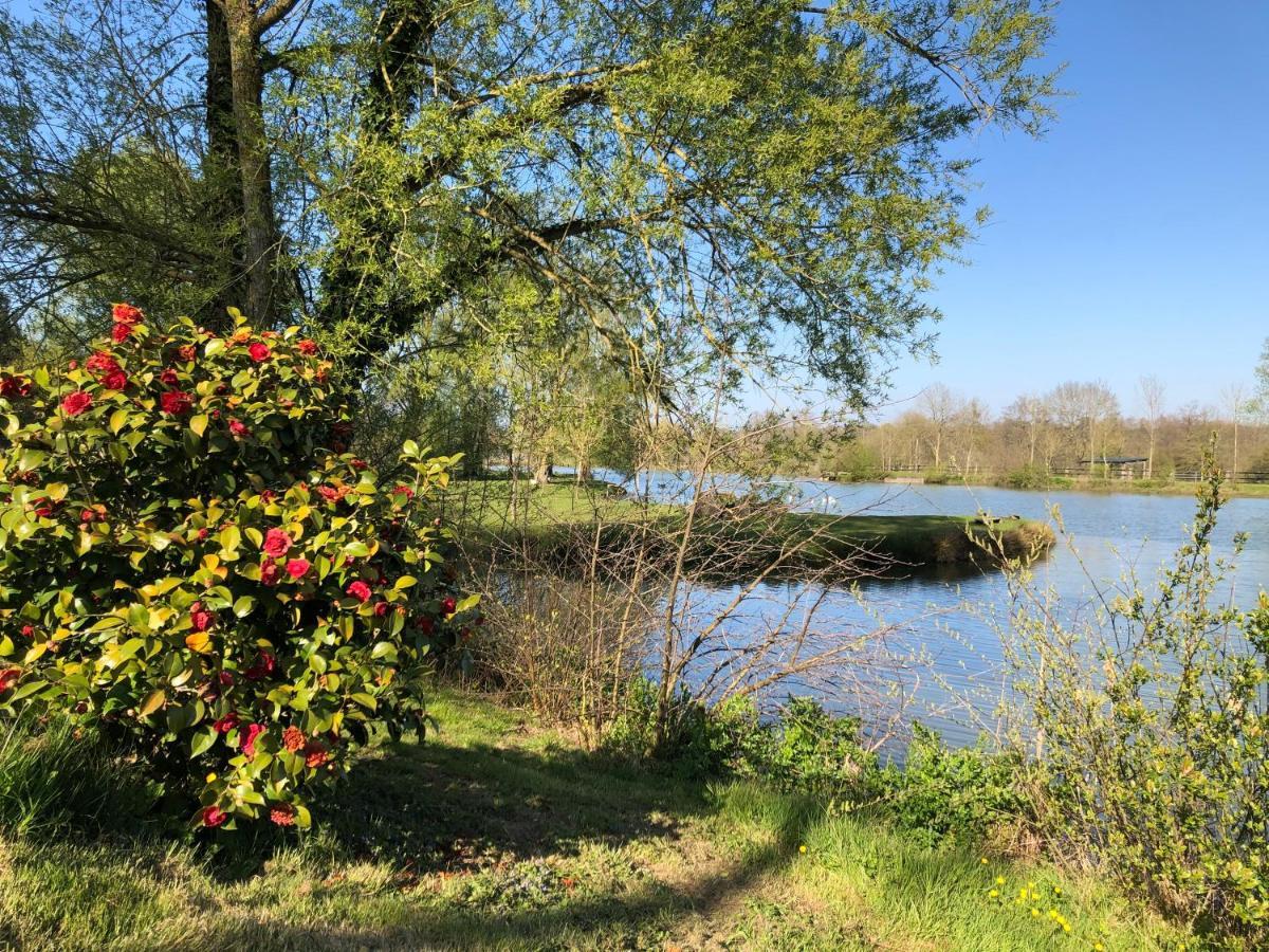 La Francoisiere Bed and Breakfast Loigné-sur-Mayenne Buitenkant foto